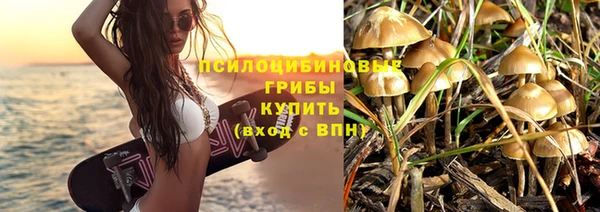 ешки Алексеевка