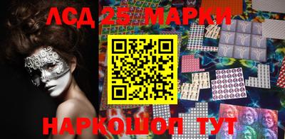 гидропоника Ставрополь