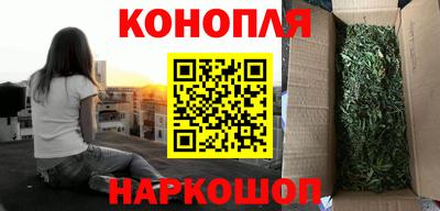 трава Камышлов