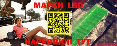 гидропоника Ставрополь