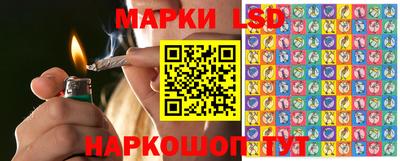 гидропоника Ставрополь