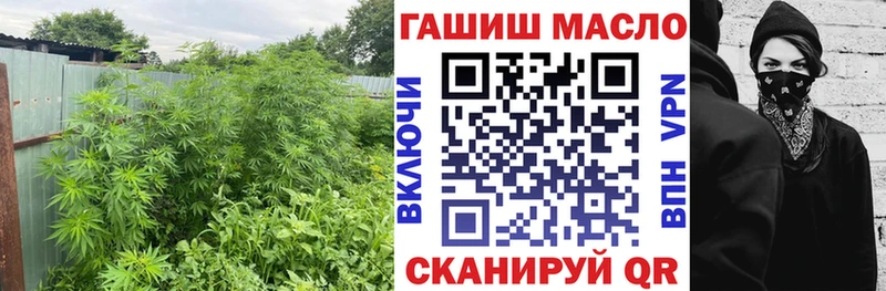 ТГК концентрат  купить наркоту  Лобня 