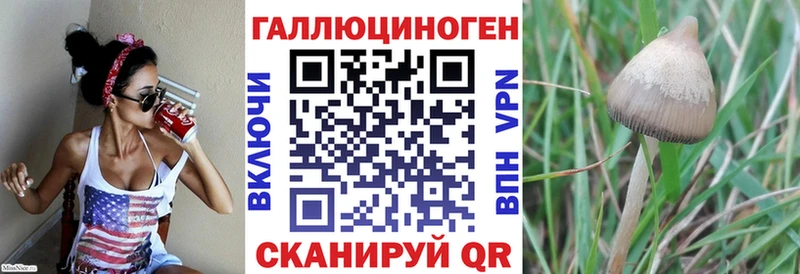 Галлюциногенные грибы прущие грибы  blacksprut как войти  Лобня 