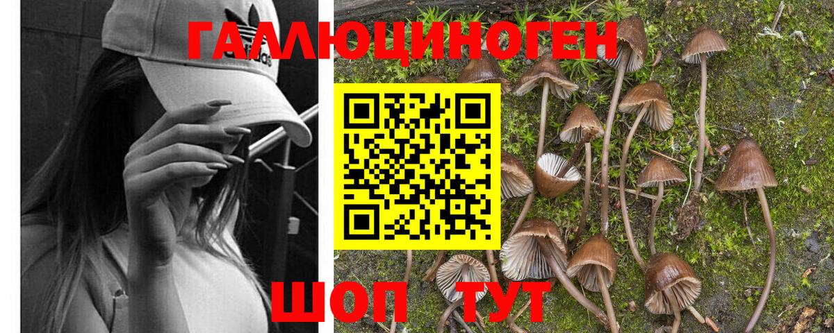 Псилоцибиновые грибы Magic Shrooms Лобня